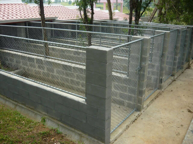 Canis e Cercadinhos Pet em Curitiba